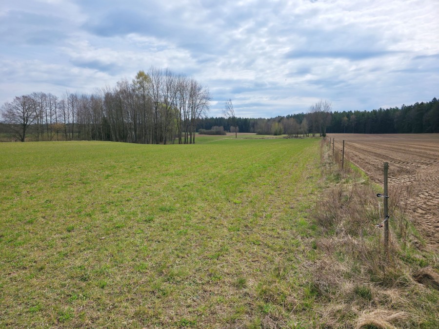 Maćkowa Ruda - działka rolna 2,7776 ha