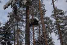 Alpiniści zbierają szyszki [zdjęcia]