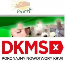 Daniel potrzebuje bliźniaka genetycznego. Spotkanie dziś w Rozmarino