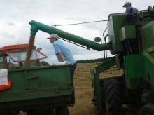 Dopłaty do materiału siewnego. Już można składać wnioski