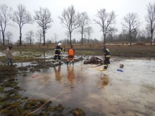 Koń nie mógł wydostać się ze stawu. Pomogli strażacy [zdjęcia]