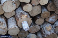 Kontrabanda w drewnianych balach