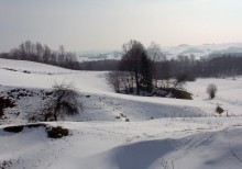 Suwalski Park Krajobrazowy i monitoring raków. Pieniądze dla „Krainy Hańczy”