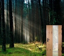 CAL walczy o las. Posadzą 5 tysięcy sadzonek