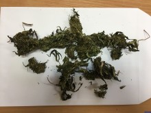 Wpadł, gdy policja przyjechała po jego kolegę