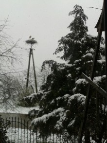 W nocy w Suwałkach temperatura spadła do -6 stopni Celsjusza