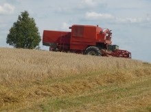 Prognoza cen produktów rolno-żywnościowych. Zapłacą jak za zboże?