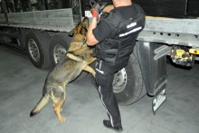 Kontrabanda warta ponad 7 mln zł . Papierosy wypełniały całą naczepę tira [zdjęcia]