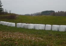 Litwa. Ziemia także dla obcokrajowców