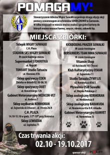 Kibice Wigier Suwałki znów pomogą czworonogom