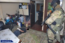 Policyjny nalot na sutenerów [wideo i zdjęcia]