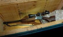 Nielegalna broń w ulu. Z Winchesterem z lunetą na pszczoły 