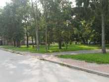 parkulanski04_(kopiowanie).jpg