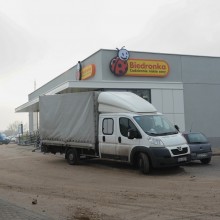 biedronka06.jpg