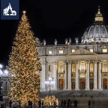 Już jutro Bożonarodzeniowa Choinka z Polski rozbłyśnie w Watykanie!
