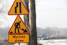 s61wycinka-drzew006.jpg