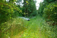 Wystraszyli się, czy myśleli, że nikt nie znajdzie? Porzucony samochód koło Gołdapi