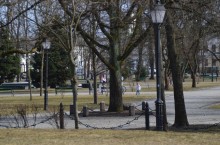 Pogoda na 5 dni. Dzień dobry wiosno