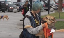 Psy z trzech schronisk na wspólnym spacerze w Suwałkach. Kto je przygarnie? [wideo] 