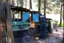 Celnicy likwidują i przestrzegają przed kupowaniem i spożywaniem bimbru  