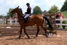 Klub Sportowy Nad Wigrami. VIII Zawody Regionalne w Skokach Przez Przeszkody [wideo]