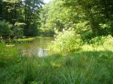 Dziś sekcja zwłok kobiety odnalezionej w Rudnikach