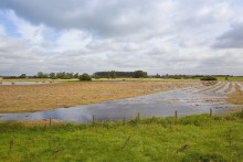 Pieniądze na inwestycje chroniące gospodarstwa przed ASF lub powodzią. Ruszył nabór wniosków 