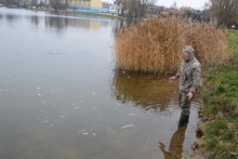 zarybianie-zalew-arkadia_(13).jpg