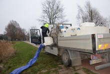 Więcej drapieżników w suwalskim zalewie. Sandacz i szczupak w miejsce płoci [zdjęcia]