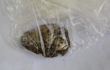 Podczas kontroli wpadli w panikę. Jeden narkotyki miał schowane w ustach