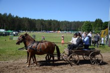 Puńsk. Biegnij, biegnij koniku i to przez 300 kilometrów