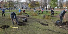 Park Konstytucji 3 Maja. Ponad 100 nowych drzew i krzewów [zdjęcia]