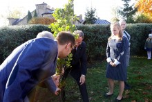 Uczniowie Szóstki posadzili dąb upamiętniający patronkę [zdjęcia]