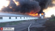 Po pożarze w Taciewie. Przeżyła tylko część zwierząt, milionowe straty i policyjne dochodzenie[foto]
