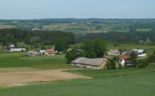 Przekaż gospodarstwo, weź pieniądze. Pomoc dla rolników z systemu małych gospodarstw