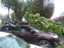 Wiatr łamał drzewa. Uszkodzone samochody i linie energetyczne w powiecie augustowskim [zdjęcia]