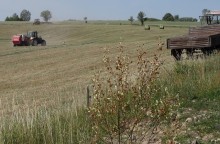 Susza. Formy pomocy rolnikom