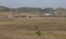   Rolnictwo. Projektowane stawki płatności bezpośrednich za 2018 rok