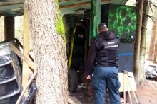 Zacier i 150 litrów bimbru. Leśny interes zlikwidowany [zdjęcia]