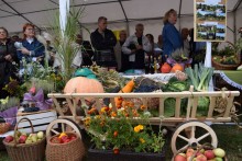 Gdzie te piękne ogrody i kwieciste balkony. Wyniki konkursu i piknik [zdjęcia]