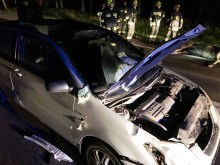 Dwa zderzenia z udziałem łosi. Uważajmy w pobliżu lasów