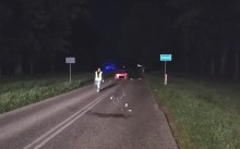Tragiczny wypadek w Sobolach. Kobieta najechała na leżącego na jezdni