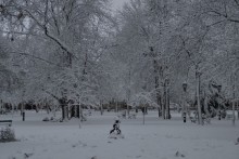 Śnieżyca, zawieje, zamiecie. Bądźmy czujni