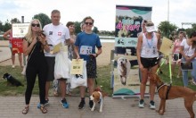 Bieg na Cztery Łapy. Kolorowe pary na Reso Suwałki 10,5 Miejskim Święcie Biegania 