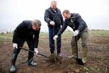 Polskie sady w Kaliningradzie