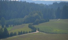 Turystyka. Za 130 tys. zł zostaną m.in. odnowione szlaki rowerowe w Suwalskim Parku Krajobrazowym