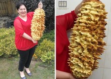 Zajazd Litewski w Puńsku Orłem Gastronomii