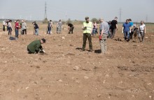 Zamiast wysypiska śmieci będzie park miejski. Drzewa zaczynają rosnąć [zdjęcia]