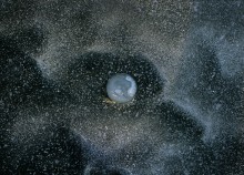 Wystawa członków PAcamera Club w Operze [zdjęcia]