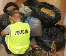 Suwałki. Trzy osoby zatrzymane za handel tytoniem i narkotykami [zdjęcia]